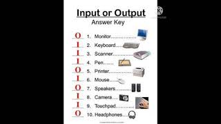 input and output devices by learn computer skills [upl. by Assel]