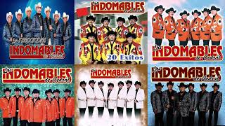 Los Indomables del Cedral Exitos Mix 2022  Las Mejores Canciones Exitos Mix 2022 [upl. by Hetti]