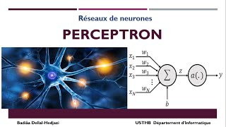 Le perceptron  Réseau de neurones simple [upl. by Valerio]