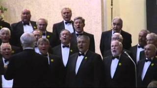 Aber Valley Male Voice Choir  Pokarekare Ana [upl. by Maurey]