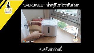 EVERSWEET น้ำพุดีไซน์ระดับโลก by CAT RECIPES [upl. by Chung47]