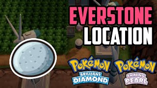 Where to Find Everstone  Pokémon Brilliant Diamond amp Shining Pearl All Methods [upl. by Freddy]