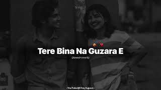 Tere Bina Na Guzara Ae  Josh Brar ft Kinza Hashmi  Perfectly SlowedReverb Song joshbrar [upl. by Gearalt]