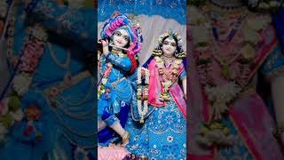 Girdhari Lal Nache Shyam Gopal radheradhejapakaro shortvideo 💐💐 [upl. by Nawad]