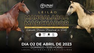 LEILÃO MANGALARGA MARCHADOR  UNAÍ LEILÕES  02042023 [upl. by Peyter]