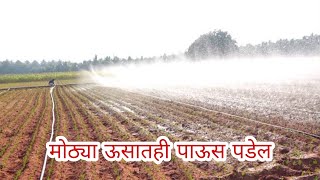 मोठ्या पिकात सुद्धा पाऊस पडल्यासारखा गारवा होईल Laser Drip DripTechभाग २ drip irrigation viral [upl. by Durward]