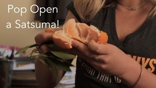 How to Peel a Satsuma in 10 Seconds  The FruitGuys [upl. by Haletky366]