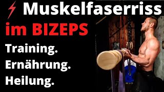 Muskelfaserriss im Bizeps  Training amp Ernährung für schnellere Heilung [upl. by Arved234]