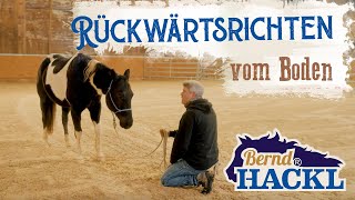 Rückwärtsrichten vom Boden  Bernd Hackl erklärt 🐴 [upl. by Ilaw]