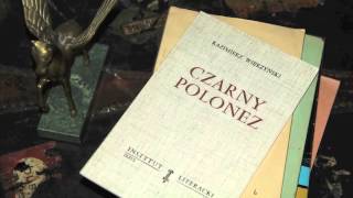 Pisarze emigracyjni  Juliusz Mieroszewski  emigracja londyńska [upl. by Lolly172]