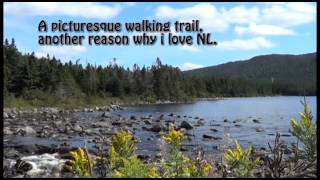 Shag Rock Whiteway NL [upl. by Oiratnom527]