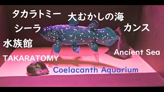 タカラトミーアーツ 大むかしの海 シーラカンス水族館TAKARATOMY Arts Ancient Sea Coelacanth Aquarium [upl. by Imit]