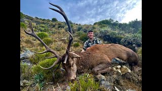 South Island Hunting Trip 2023  Big Stag 105quot Cham Buck and 12 78quot Bull Tahr [upl. by Ynnob665]