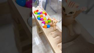 Marble runs with extremely rolling slopes marblerun marblerunrace asmr [upl. by Boice]