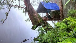 Solo Camping Hujan Deras rumah pohon di tepi Sungai [upl. by Violante]