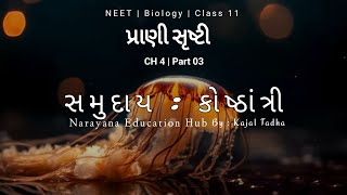 સમુદાય કોષ્ઠાંત્રી  પ્રાણી સૃષ્ટિ ધોરણ 11 Biology CH4  Animal Kingdom Animated 3D Gujarati  L3 [upl. by Walden]