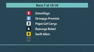 Crayford Greyhounds Races on 1st August 2024 [upl. by Ettigdirb]