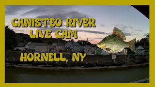 Canisteo River Live Cam 247  Hornell New York  972024 [upl. by Sheeb101]