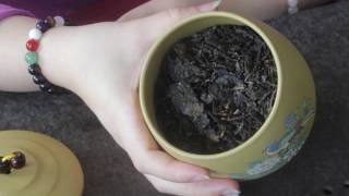 Pu Erh Tea Brewing amp Awaken Pu Erh Tea in Yixing Tea Caddy [upl. by Meehaf]