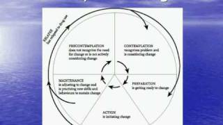 Stages of Behavior Change [upl. by Eartha]