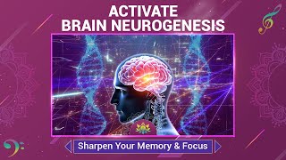 Activate Brain Neurogenesis  Rewire Your Brain  Sharpen Your Memory amp Focus  Alpha Waves Music [upl. by Atiekram]