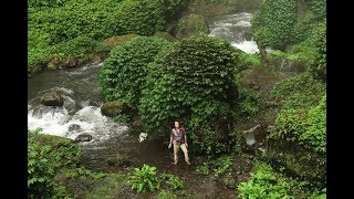 FIELD TRIP WITH PATRICK BLANC IN JAVA 1  BROMO TO PACITAN [upl. by Helsie]