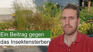 Der Vorgarten der Zukunft  insektenfreundlich klimafest und pflegeleicht [upl. by Ernie595]