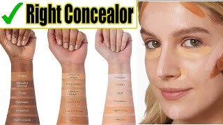 The BEST Concealers It Cosmetics Colorescience Maybelline LA Girl Becca Review for Dark Circles [upl. by Owades]