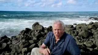 Galápagos with David Attenborough [upl. by Sisile]