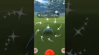 ✨Shiny Surskit 🦀crab pokémon shiny pokemon shinypokemon pokepro pokemongo [upl. by Oppen]