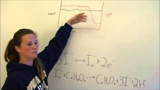 Coulometric Titration Lab Video [upl. by Maher]