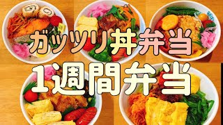 【ガッツリ丼】1週間のお弁当セリアの容器でどんぶり！！セリアで購入品紹介 [upl. by Adabel465]