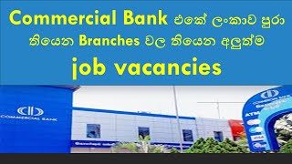 Banking job vacancies  Commercial bank  14072024 [upl. by Hube]