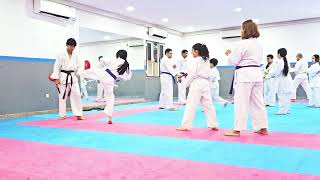 Karate basic kicks  catsclaw training [upl. by Nodnelg]