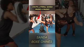 Chute Lateral sanda passo a passo sanda mma boxechines [upl. by Eibreh]