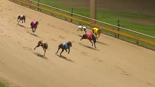 Rockhampton06112024Race12 [upl. by Sasnak]