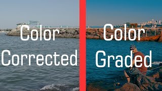 Canon 700D Magic Lantern Raw Video Color Test Color Grading [upl. by Arman]