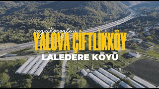 Yalova Çiftlikköy Laledere Köyü Drone Shot [upl. by Arec]