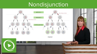 Nondisjunction Chromosomal Disorders amp Aneuploidies – Medical Genetics  Lecturio [upl. by Oenire]