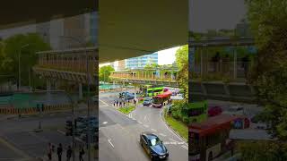 exploresingapore city travel sgkingtamil [upl. by Sundin490]