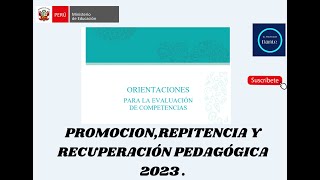 PROMOCION REPITENCIA Y RECUPERACIÓN PEDAGÓGICA 2023 [upl. by Sedlik211]