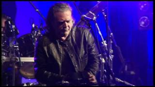 Horslips 2011 [upl. by Alaj86]