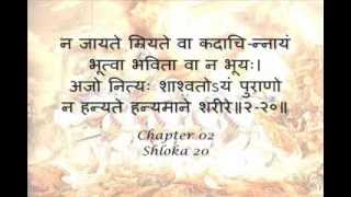 Bhagavad Gita Sanskrit recitation with Sanskrit text  Chapter 02 [upl. by Kleiman270]