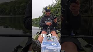 crush bass fishing this fall bassfishing fishing fallbassfishing swimbait [upl. by Marlie]