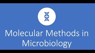 Molecular Methods in the Microbiology Lab [upl. by Aymer]