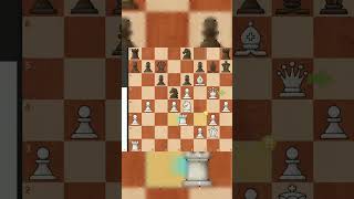 How to Achieve Checkmate in Less Than 10 Moves [upl. by Martyn539]