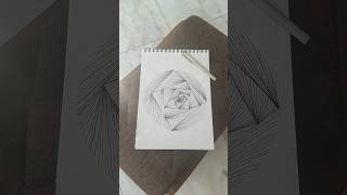 SPIRALLED art beginners pattern doodleart zen zentangle artshorts ytshorts sketch yt [upl. by Ahsekat]