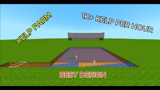 How to make a simple but good kelp farm for the Donut SMP [upl. by Nywnorb]