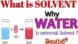 What is solvent Why Water is universal solvent Types of solvent states Solvent classifications [upl. by Ayrotal788]