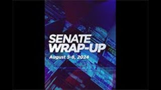 Senate Wrapup August 5  8 2024 [upl. by Hylton]